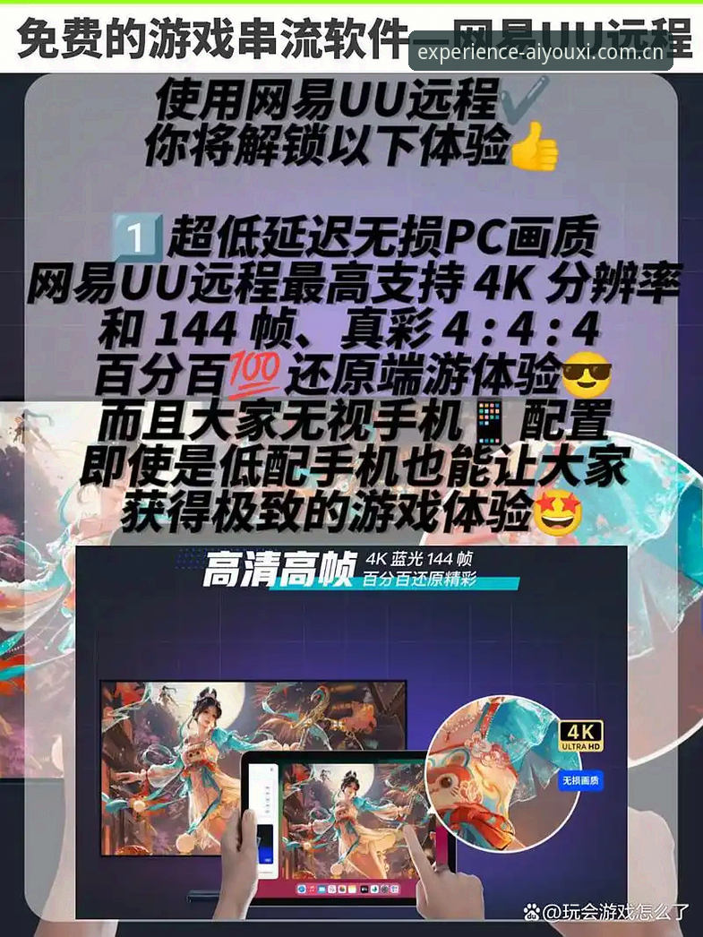 APP里的"年体版"vs官网直连：我该选哪个入口看赛事数据？